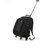 Swissgear Trolley Backpack